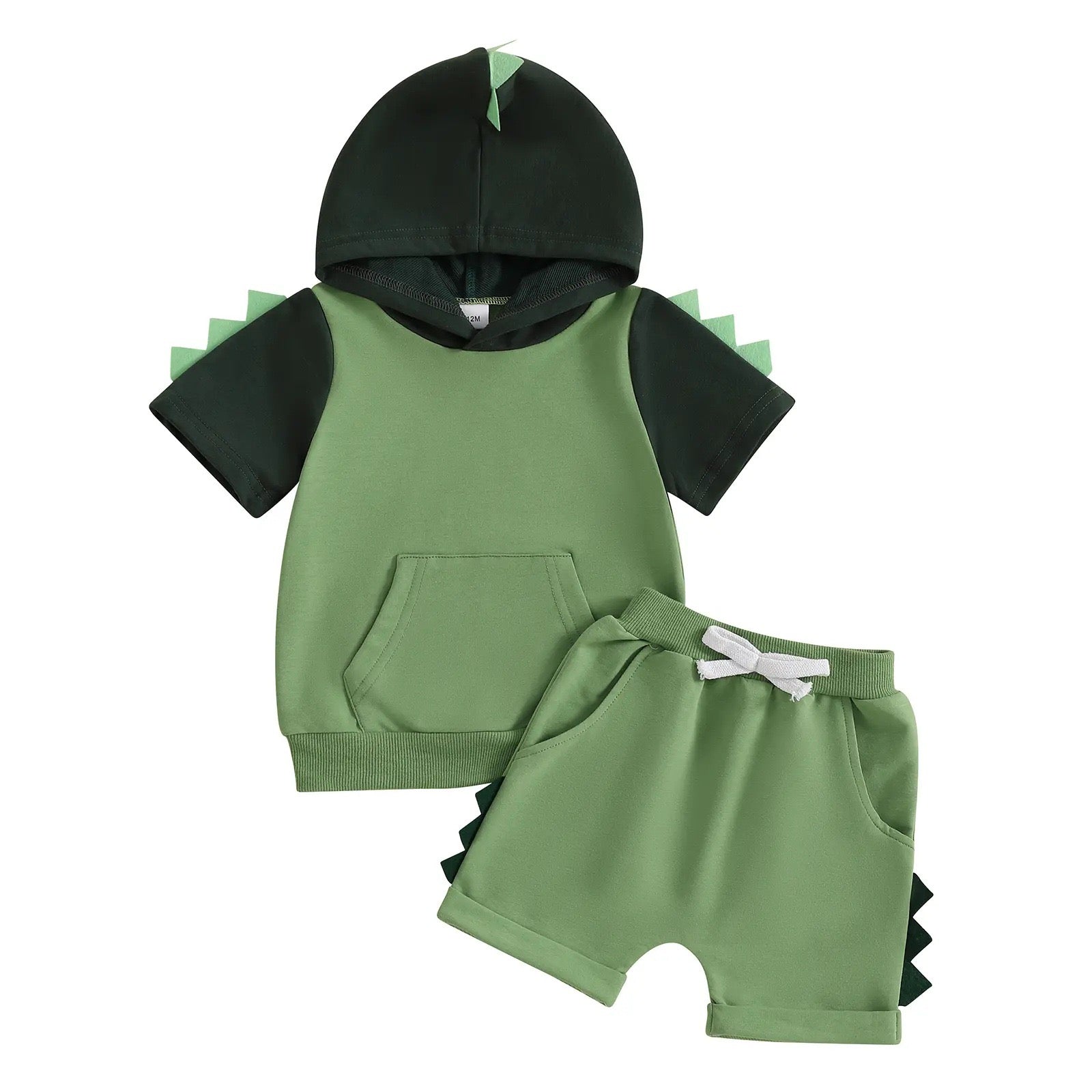Toddler Dinosaur Hooded T-Shirt & Shorts Set