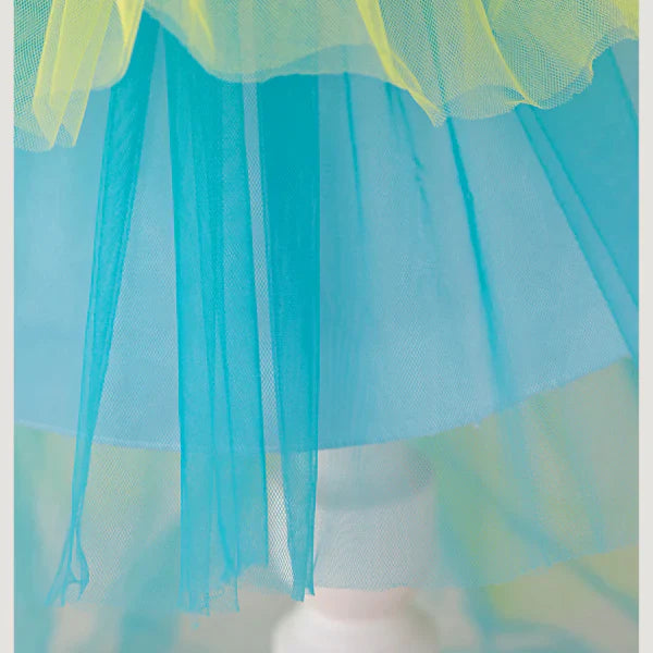 Party Dress with Tulle