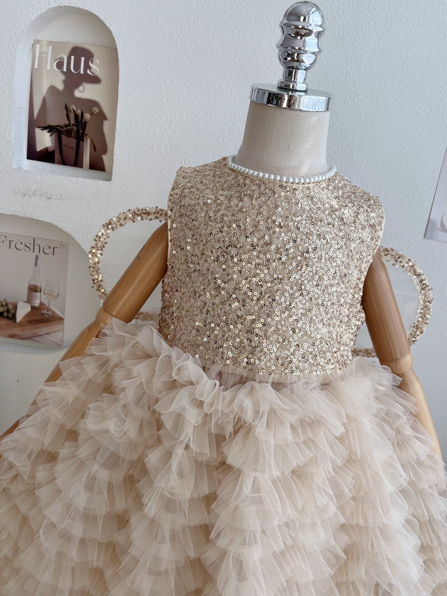 Shiny Children's Dress with Wings