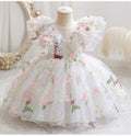 Butterfly Tulle Children's Party Dress