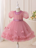 Pink Sparkly Butterfly Party Dress