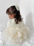 Children's Tulle Dress with Wings + Blouse